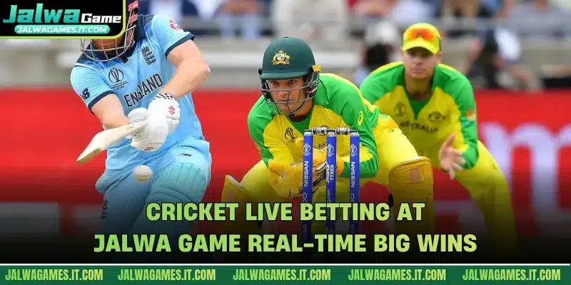 Cricket Live Betting At Jalwa Game Real-Time Big Wins